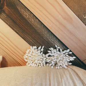 イソギンチャクイヤリング